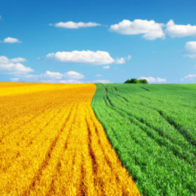 industry-use-case-agriculture industry use case agriculture